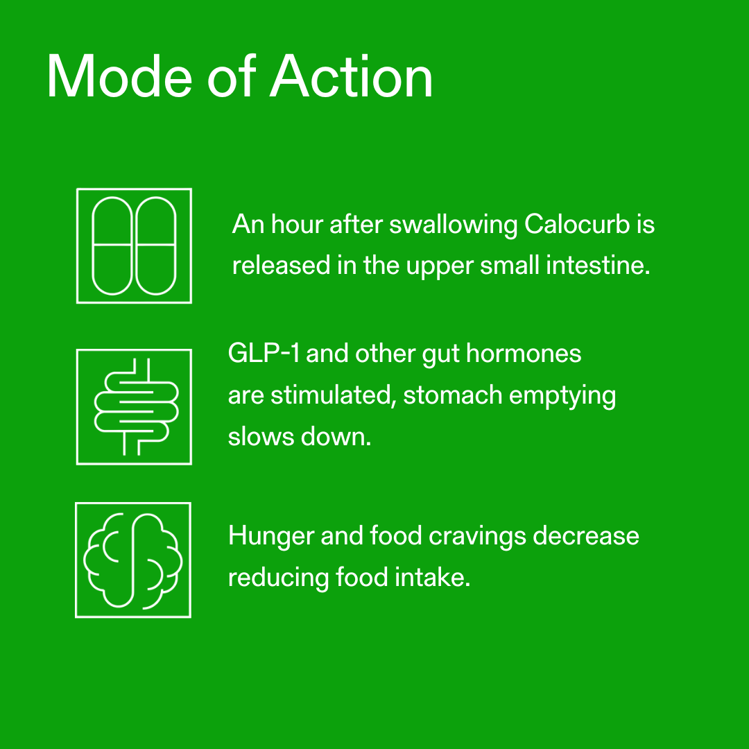 Calocurb Calorie Control Supplement 6X Natural GLP-1 Activator 90 Count